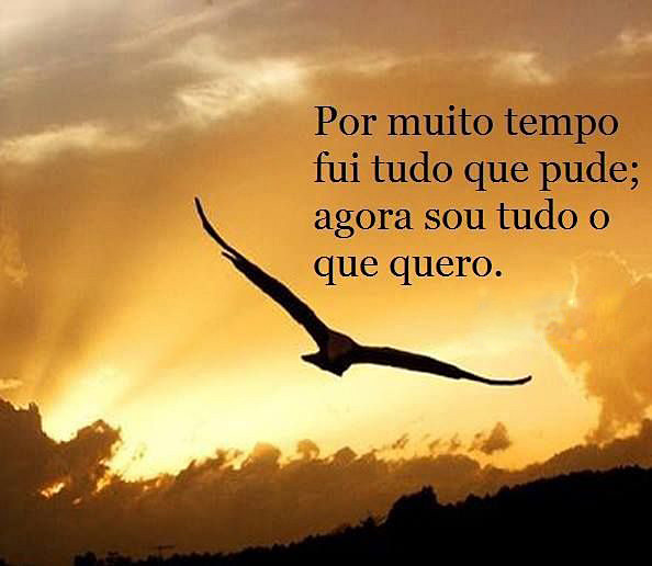 Liberdade de ser livre... I.jpg