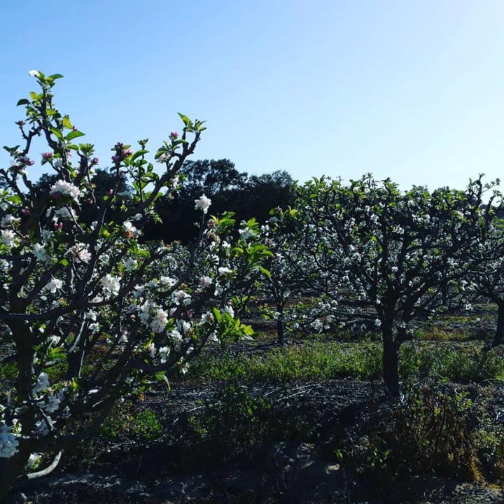 56819004_1342577059215385_4621642572958269440_n.jp