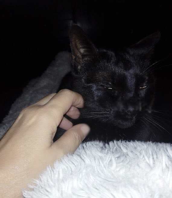 120613004_3509668052398070_7581415386492077759_n.j