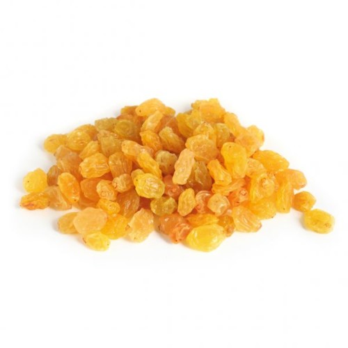 sultana-dourada 7.jpg