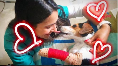 img_828x523$2017_04_15_20_40_01_52070.png img_828x523$2017_04_15_20_40_01_52070.png