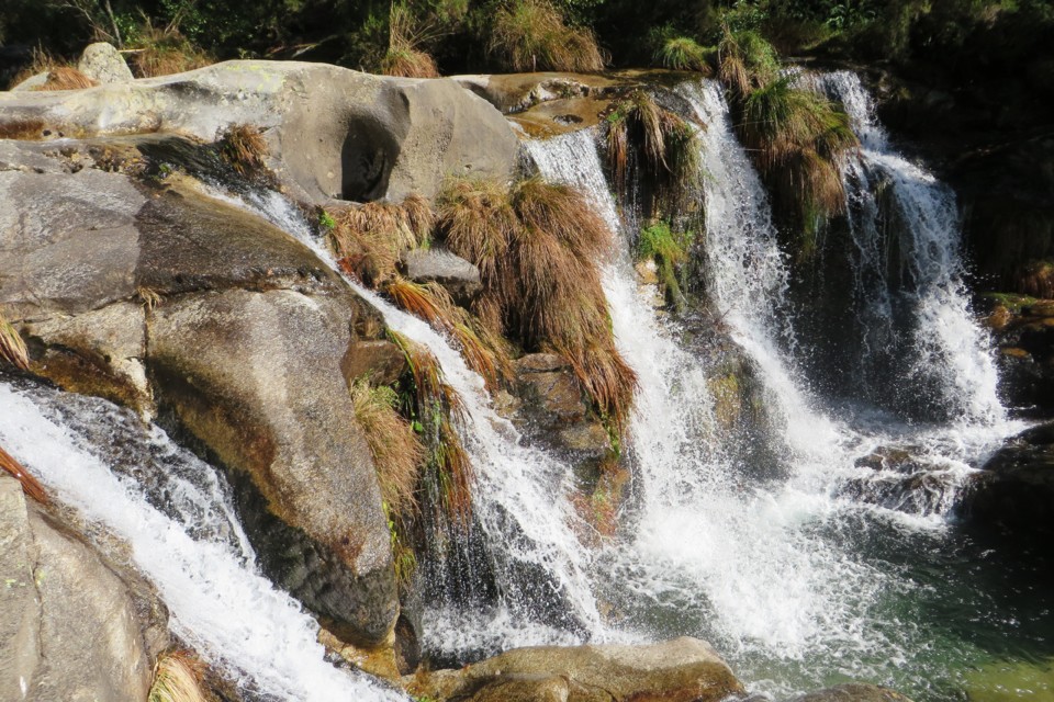 IMG_4769.JPG IMG_4769.JPG