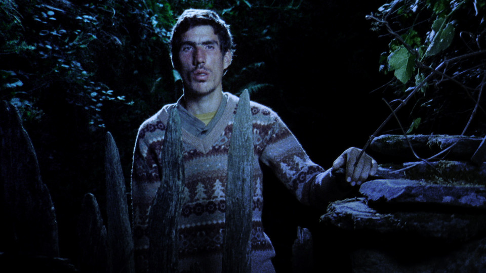 c9226368-4f4c-11e9-a3c9-06b79b628af2_1596564486177