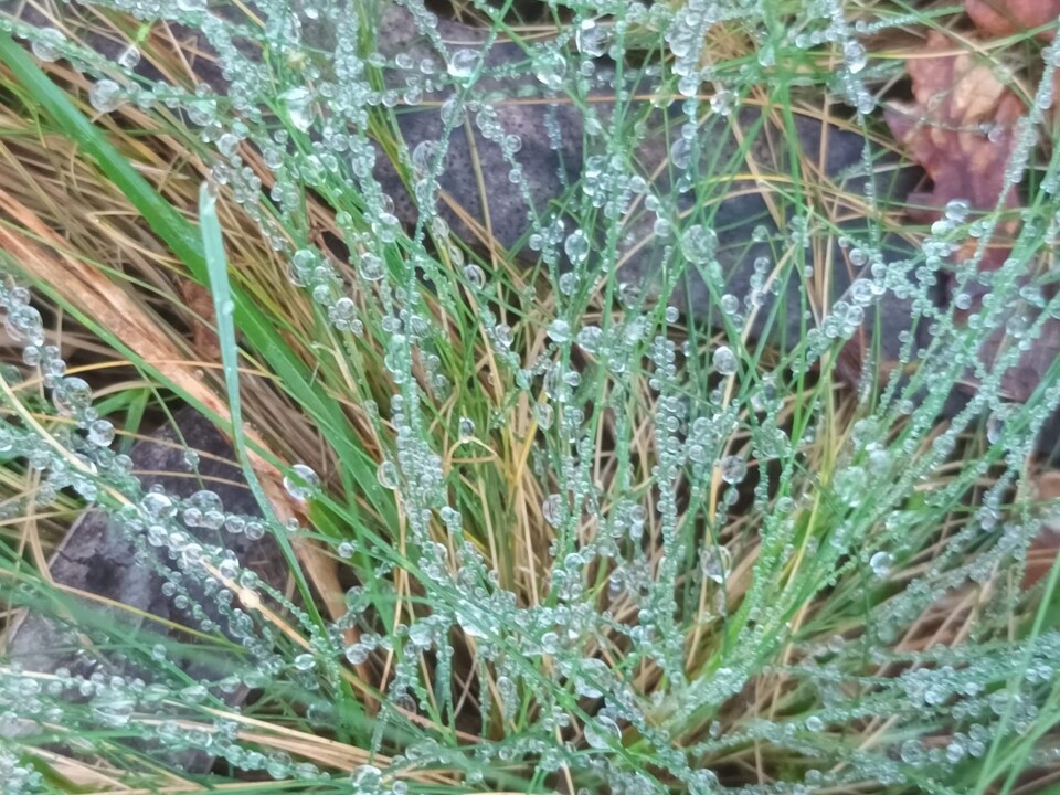 Não me canso disto inverno.jpg