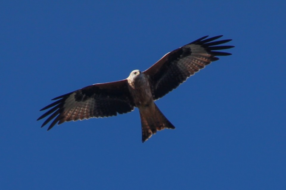 miradouro montachique milhafre-real.jpg