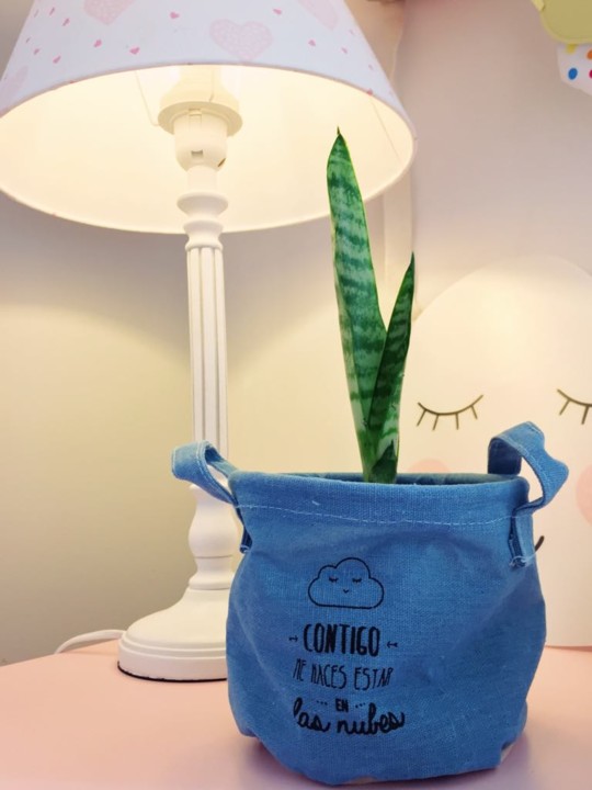 espada de são jorge no quarto