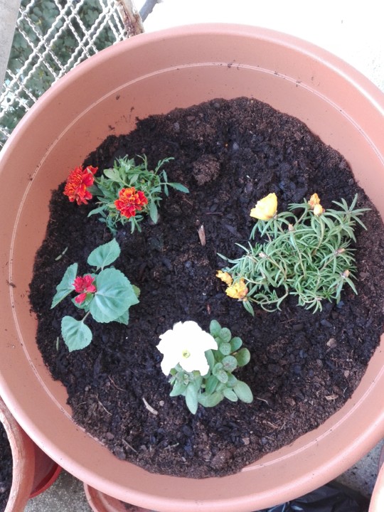 IMG_20200513_090858 (1).jpg