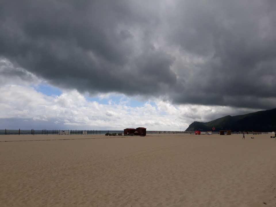 20200611_161734.jpg 20200611_161734.jpg