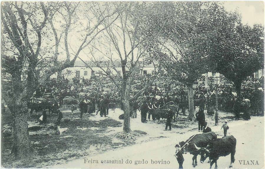 141-campo da agonia- feira do gado.jpg