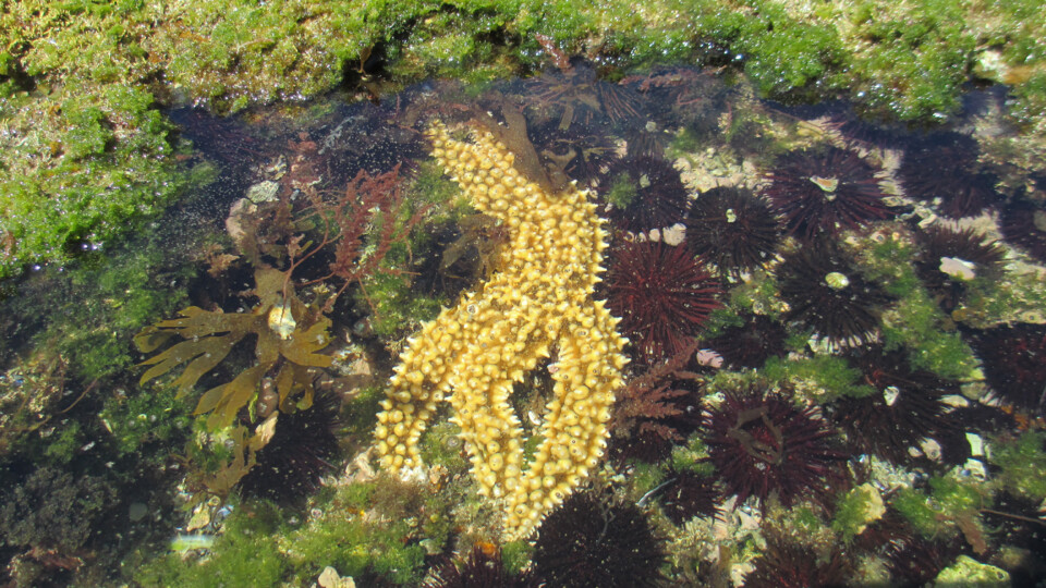 2020-08-09 12.03.39.jpg