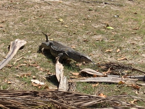 IMG_0174.JPG IMG_0174.JPG