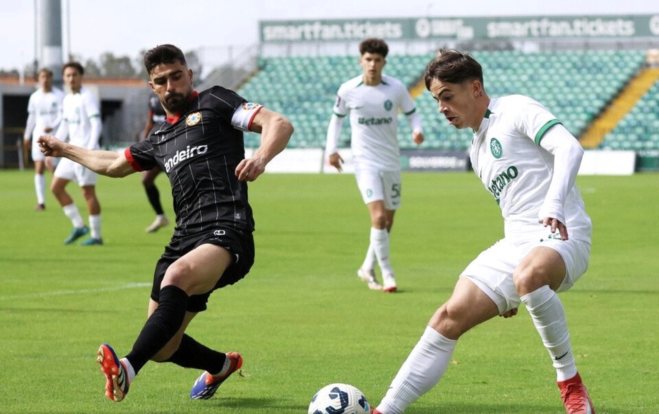 1258748--i-lobos-do-mar-i-e-i-leoezinhos-i-anulam-