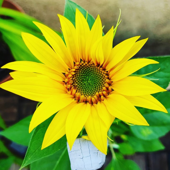 240905243_2107999286006488_2695810058626802374_n.j