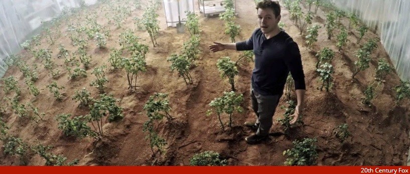 Batatas em Marte.jpg