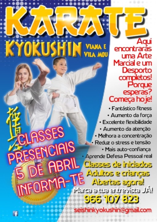 Flyer Kyokushin Viana.jpg