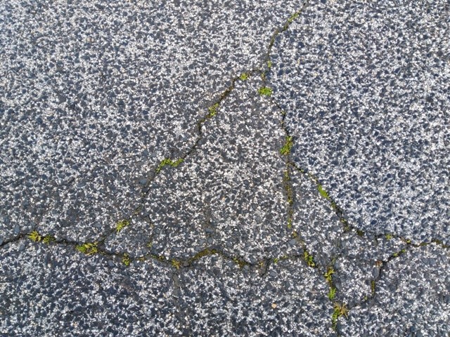 IMG_20210225_085408cópia.jpg IMG_20210225_085408cópia.jpg