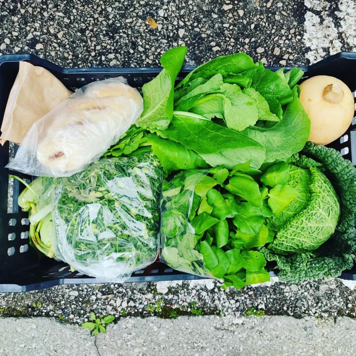 334762123_1173268960056056_5289916988503534320_n.j