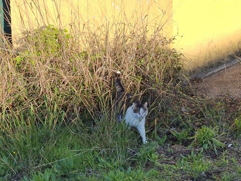 14a_Caminhada_Matinal (8).jpg