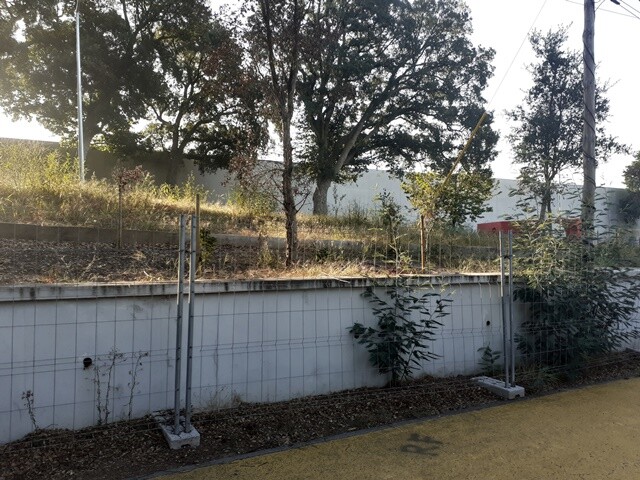 23a_Parque_Inclusivo (1).jpg