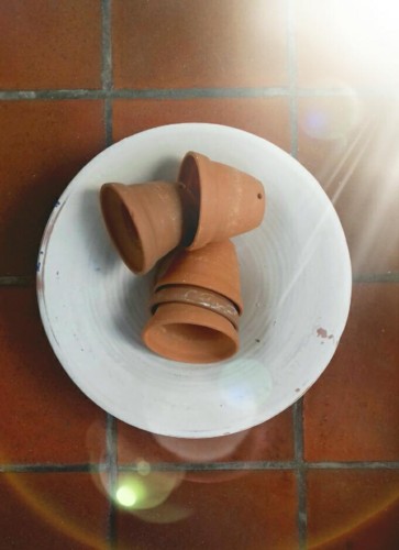 30429642_1867862586580032_1144550106_n (1).jpg