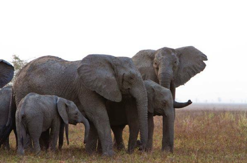 Screen Shot 2013-08-24 at 5.16.26 AM.png