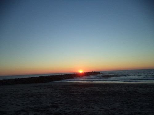 ofir 2015.jpeg ofir 2015.jpeg