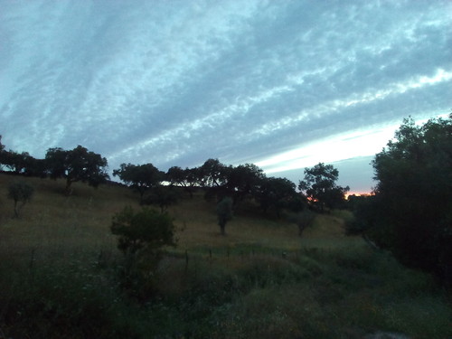 Tapada do Rescão - Original DAPL 2016.jpg