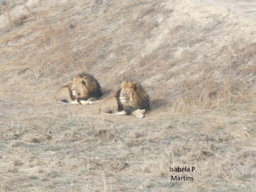 DSCN7390.JPG DSCN7390.JPG