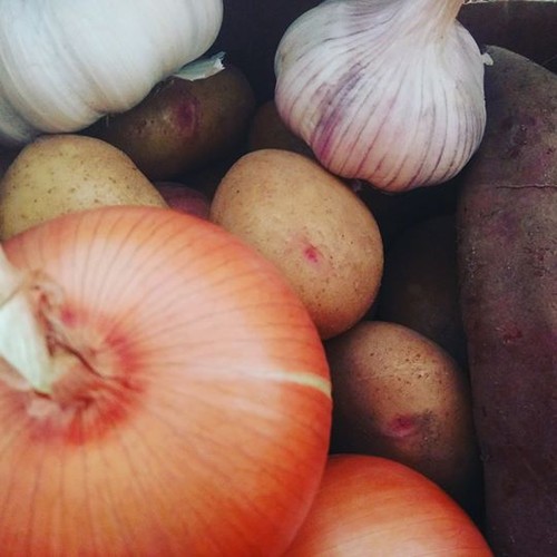 16649803_1402874223088095_2506914381372063744_n.jp 16649803_1402874223088095_2506914381372063744_n.jp