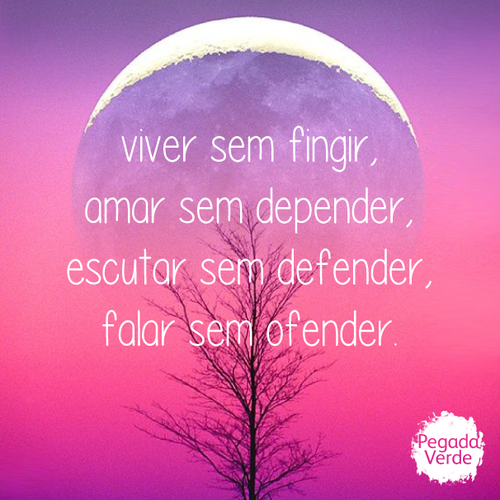viver2.png viver2.png