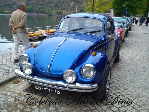 Rota do Moscatel Favaios 2015 (262).jpg