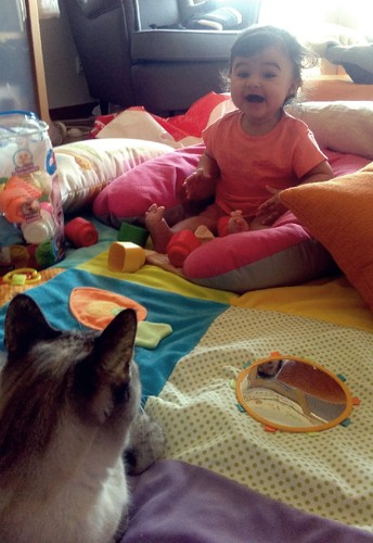 IMG_20150709_152204.jpg IMG_20150709_152204.jpg