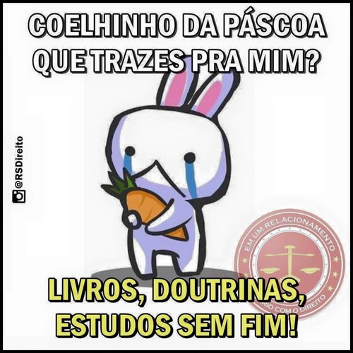 12418063_10208703279158603_4620178662523469674_n.j