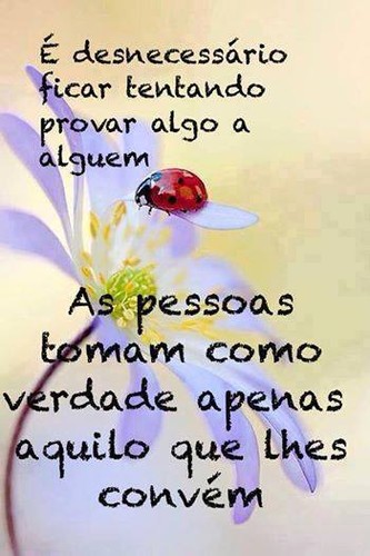 verdade.jpg verdade.jpg