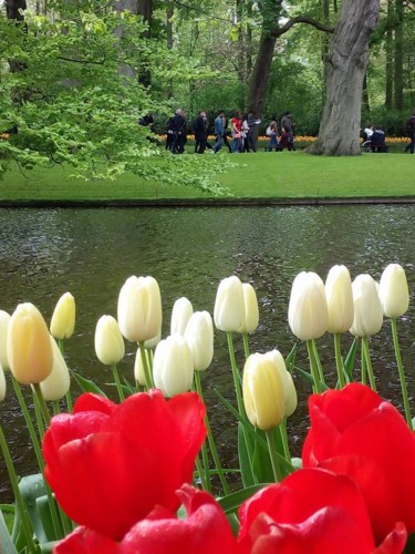 31515618_1665904126828565_8001103333156716544_n.jp