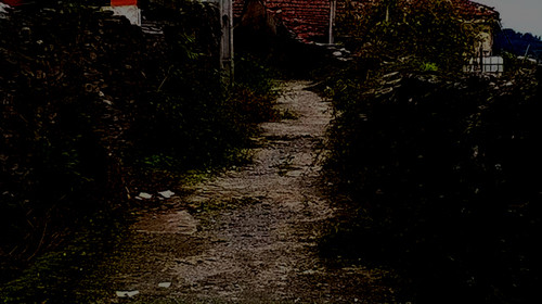 foto01.jpg