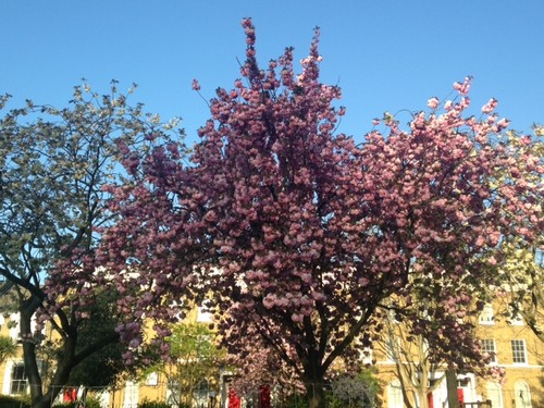 IMG_2029.JPG IMG_2029.JPG