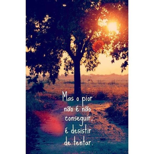 10629681_919076348120328_2173453136328998887_n.jpg 10629681_919076348120328_2173453136328998887_n.jpg