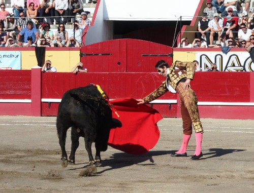 Primeira lide de Padilla em Angra...