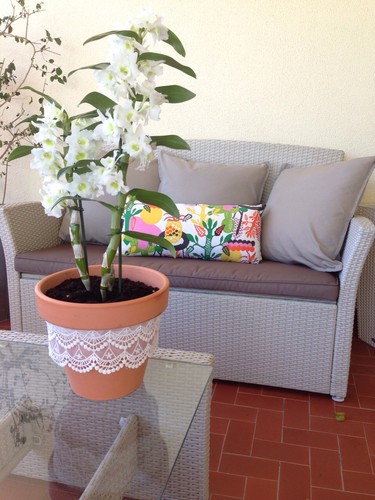 fotografia 1 (10).JPG fotografia 1 (10).JPG