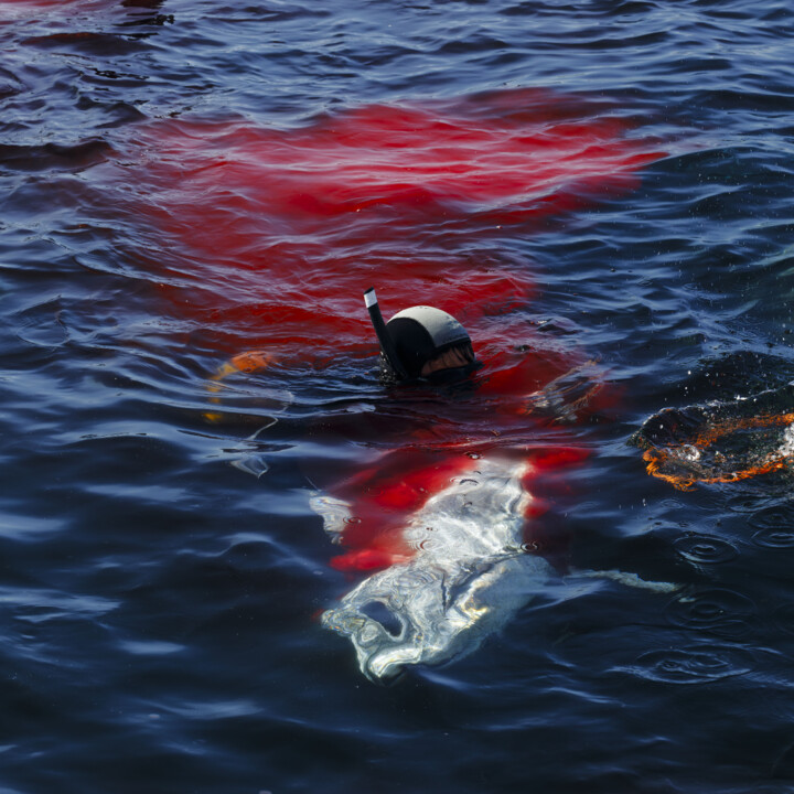 Patrimonio_em_Rede_argb_┬®Eduardo Martins_2.jpg