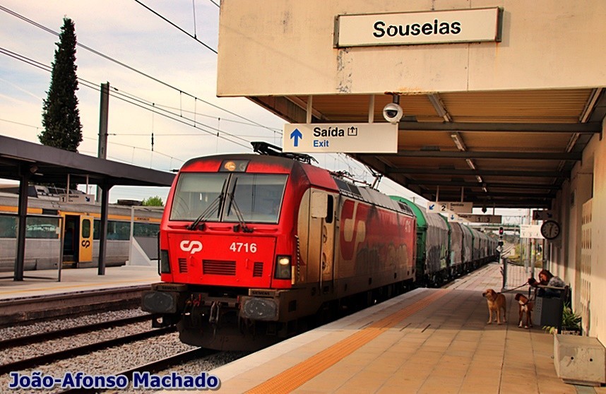 IMG_0748.JPG IMG_0748.JPG