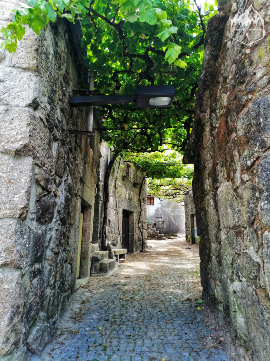 Photo_1597132609936.jpg Photo_1597132609936.jpg