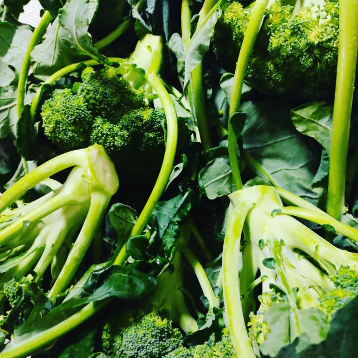 316110091_2471815236291556_837687266088966385_n.jp