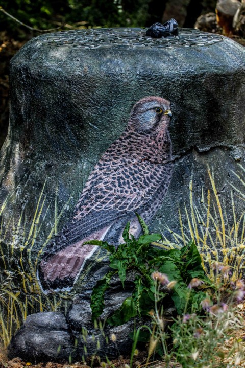 trilho das vinhas-28.jpg