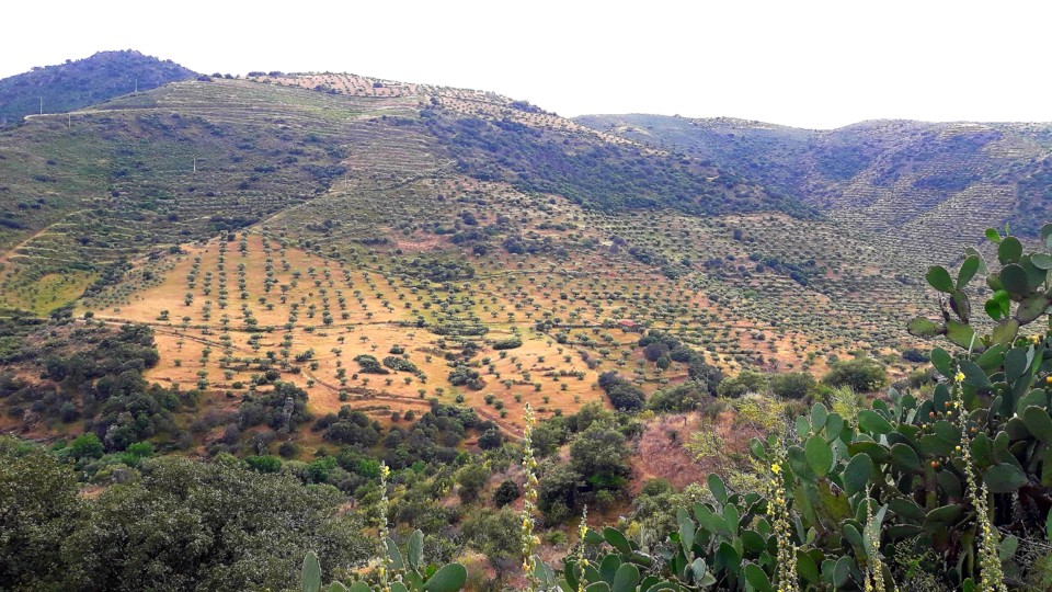 20200420_001521.jpg 20200420_001521.jpg