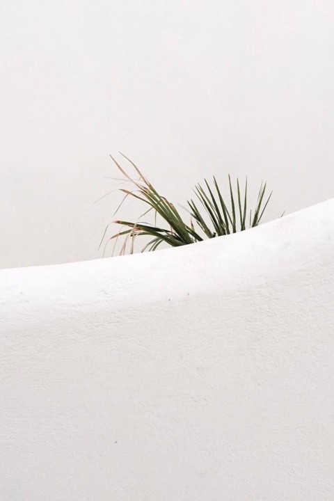 131120277_3470872346341946_7993140984137864559_o.j