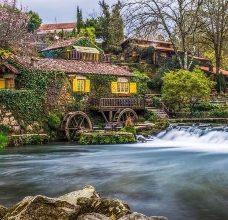 216683209_1516303638714905_1175958355919966786_n.j