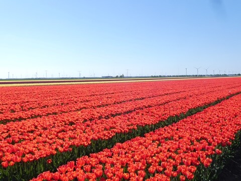 Abril_27 (100).JPG