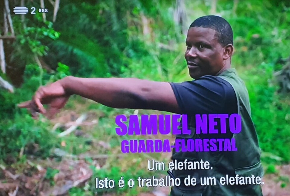 O Mundo num quadro 4.jpg